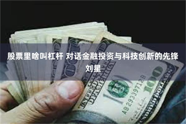 股票里啥叫杠杆 对话金融投资与科技创新的先锋刘星